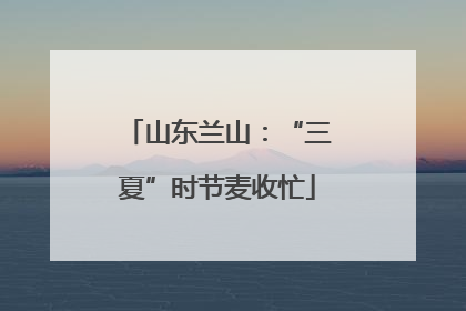 山东兰山：“三夏”时节麦收忙