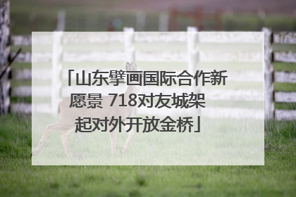 山东擘画国际合作新愿景 718对友城架起对外开放金桥