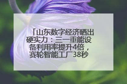 山东数字经济晒出硬实力：三一重能设备利用率提升4倍，赛轮智能工厂38秒生产一条轮胎