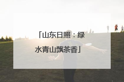 山东日照：绿水青山飘茶香