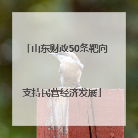 山东财政50条靶向支持民营经济发展