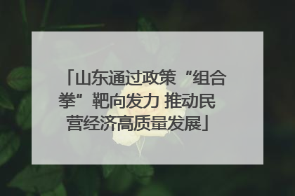 山东通过政策“组合拳”靶向发力 推动民营经济高质量发展