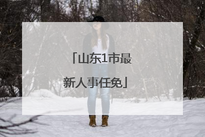 山东1市最新人事任免
