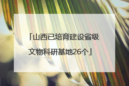 山西已培育建设省级文物科研基地26个