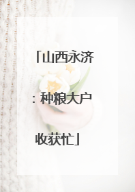 山西永济：种粮大户收获忙