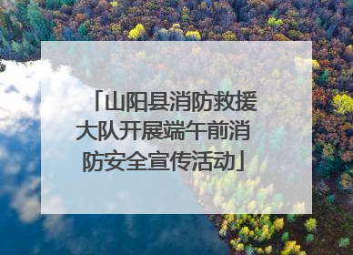 山阳县消防救援大队开展端午前消防安全宣传活动