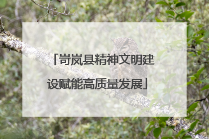 岢岚县精神文明建设赋能高质量发展