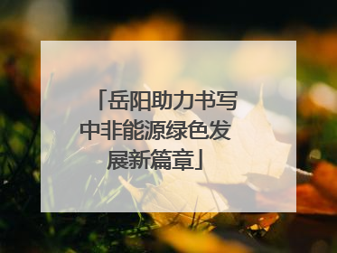 岳阳助力书写中非能源绿色发展新篇章