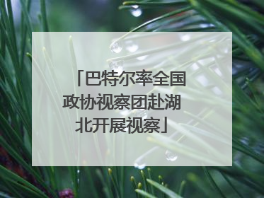 巴特尔率全国政协视察团赴湖北开展视察