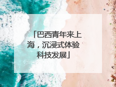 巴西青年来上海，沉浸式体验科技发展