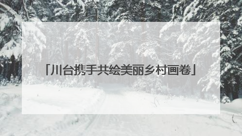 川台携手共绘美丽乡村画卷