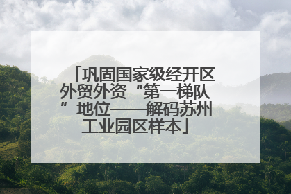巩固国家级经开区外贸外资“第一梯队”地位——解码苏州工业园区样本