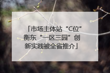 市场主体站“C位” 衡东“一区三园”创新实践被全省推介