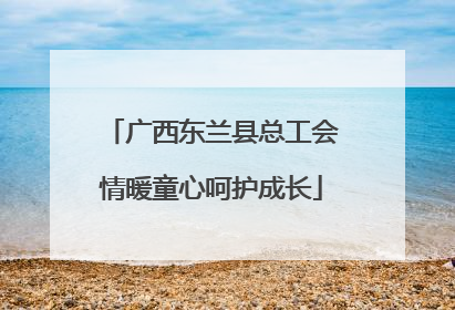 广西东兰县总工会情暖童心呵护成长
