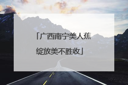 广西南宁美人蕉绽放美不胜收