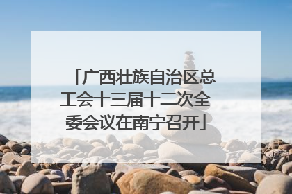 广西壮族自治区总工会十三届十二次全委会议在南宁召开