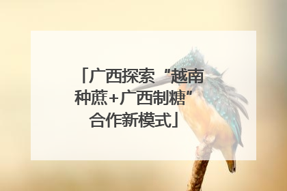 广西探索“越南种蔗+广西制糖”合作新模式