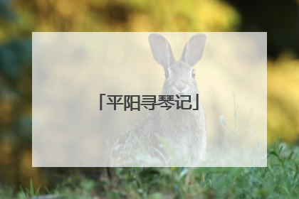 平阳寻琴记