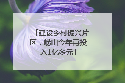 建设乡村振兴片区，崂山今年再投入1亿多元