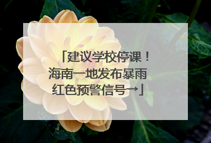 建议学校停课！海南一地发布暴雨红色预警信号→