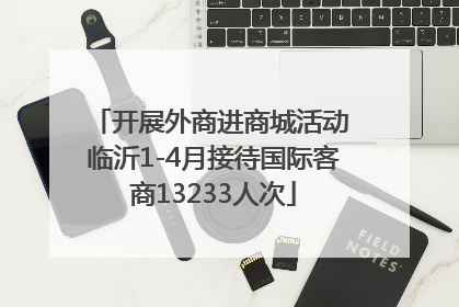 开展外商进商城活动 临沂1-4月接待国际客商13233人次