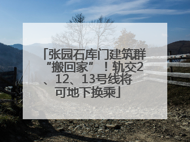 张园石库门建筑群“搬回家”！轨交2、12、13号线将可地下换乘