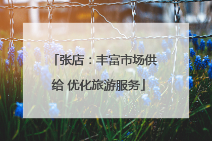 张店：丰富市场供给 优化旅游服务