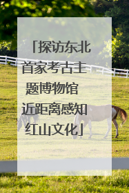 探访东北首家考古主题博物馆 近距离感知红山文化
