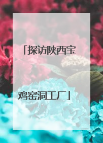 探访陕西宝鸡窑洞工厂
