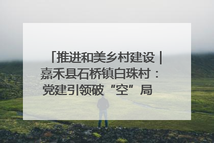推进和美乡村建设｜嘉禾县石桥镇白珠村：党建引领破“空”局 乡贤聚力绘就新图景