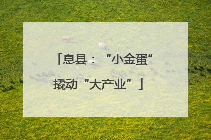 息县：“小金蛋”撬动“大产业”