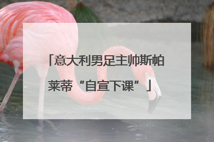 意大利男足主帅斯帕莱蒂“自宣下课”