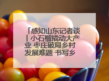感知山东记者谈丨小石榴撬动大产业 枣庄破局乡村发展难题 书写乡村共富答卷