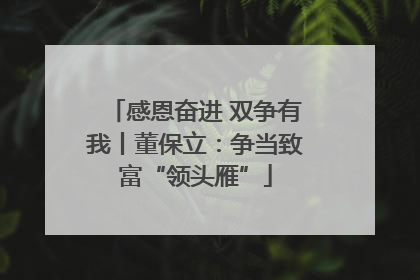 感恩奋进 双争有我丨董保立：争当致富“领头雁”