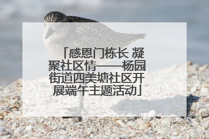 感恩门栋长 凝聚社区情——杨园街道四美塘社区开展端午主题活动