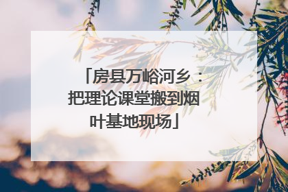 房县万峪河乡：把理论课堂搬到烟叶基地现场