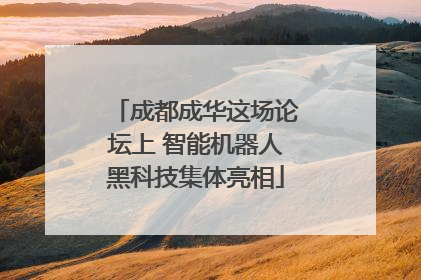 成都成华这场论坛上 智能机器人黑科技集体亮相