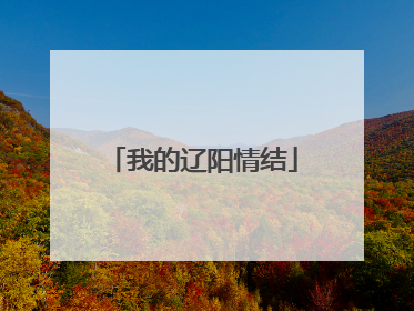 我的辽阳情结