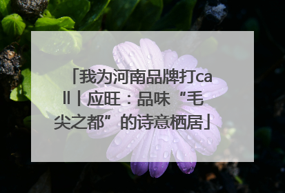 我为河南品牌打call丨应旺：品味“毛尖之都”的诗意栖居