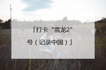 打卡“雪龙2”号（记录中国）