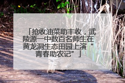 抢收油菜助丰收，武陵源一中数百名师生在黄龙洞生态田园上演“青春助农记”