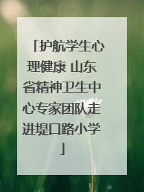护航学生心理健康 山东省精神卫生中心专家团队走进堤口路小学