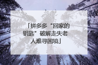 拼多多“回家的钥匙”破解走失老人难寻困境