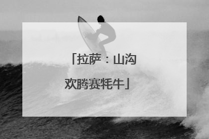 拉萨：山沟欢腾赛牦牛
