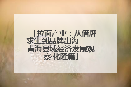 拉面产业：从借牌求生到品牌出海——青海县域经济发展观察·化隆篇