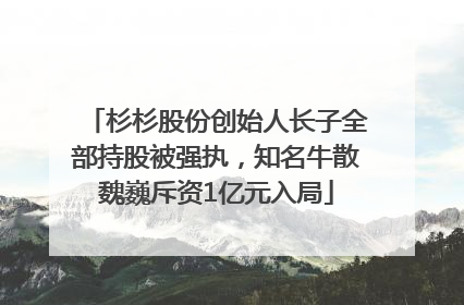 杉杉股份创始人长子全部持股被强执，知名牛散魏巍斥资1亿元入局
