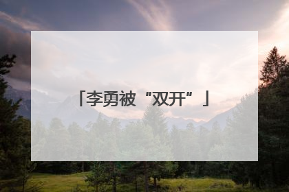 李勇被“双开”
