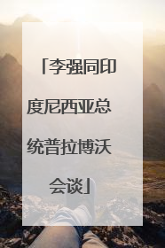 李强同印度尼西亚总统普拉博沃会谈