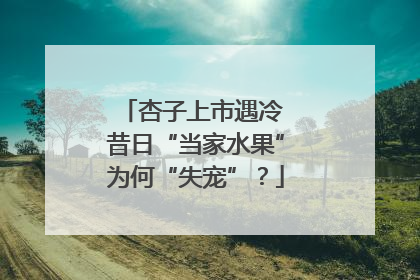 杏子上市遇冷 昔日“当家水果”为何“失宠”？