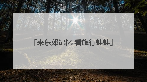 来东郊记忆 看旅行蛙蛙